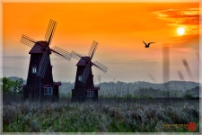 소래에서.. - 팝코넷 | 포토 갤러리 소래에서..