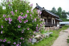 30D 경북봉화 여행 - 팝코넷 | 포토 갤러리 30D 경북봉화 여행