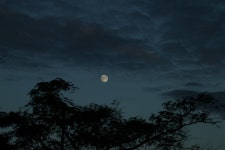 푸른밤 - 팝코넷 | 포토 갤러리 푸른밤