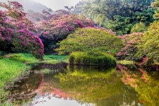 명옥헌 원림 - 팝코넷 | 포토 갤러리 명옥헌 원림