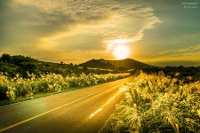 가을이 오면... - 팝코넷 | 포토 갤러리 가을이 오면...