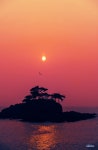 솔 섬에서.. - 팝코넷 | 포토 갤러리 솔 섬에서..