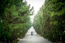 양꼬치엔 칭따오 with 스모그 - 팝코넷 | 포토 갤러리 양꼬치엔 칭따오 with 스모그