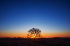 빛이 너무도 이쁜날에 - 팝코넷 | 포토 갤러리 빛이 너무도 이쁜날에