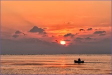 바다목장으로의 출근 - 팝코넷 | 포토 갤러리 바다목장으로의 출근