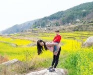 남해 두모마을 유채꽃밭 - 팝코넷 | 포토 갤러리 남해 두모마을 유채꽃밭