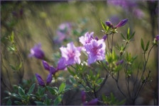 햇살 좋은 아침 - 팝코넷 | 포토 갤러리 햇살 좋은 아침