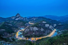 십 리 벚꽃길.. - 팝코넷 | 포토 갤러리 십 리 벚꽃길..