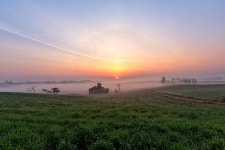안성목장 - 팝코넷 | 포토 갤러리 안성목장