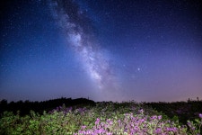 봉화산 은하수~~~~ - 팝코넷 | 포토 갤러리 봉화산 은하수~~~~