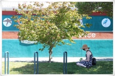 한가한 오후 - 팝코넷 | 포토 갤러리 한가한 오후