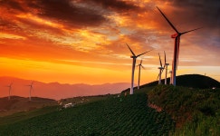 매봉산 - 팝코넷 | 포토 갤러리 매봉산