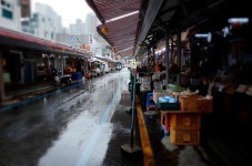 5일장 - 팝코넷 | 포토 갤러리 5일장