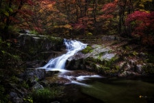 깊어가는 방태산의 가을 - 팝코넷 | 포토 갤러리 깊어가는 방태산의 가을