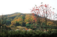 산골마을 ~가을풍경 - 팝코넷 | 포토 갤러리 산골마을 ~가을풍경