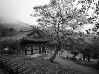 용천사 - 팝코넷 | 포토 갤러리 용천사