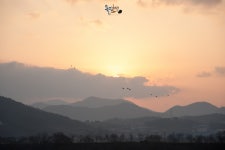 화포천 일출 - 팝코넷 | 포토 갤러리 화포천 일출