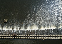 인생 - 팝코넷 | 포토 갤러리 인생