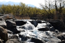 구례 산수유마을에서.. - 팝코넷 | 포토 갤러리 구례 산수유마을에서..