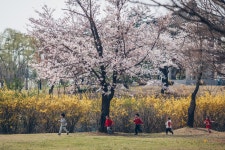 따스한 봄날 - 팝코넷 | 포토 갤러리 따스한 봄날