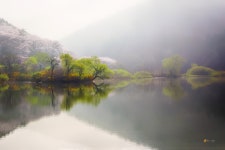 봄의 아침 풍경 - 팝코넷 | 포토 갤러리 봄의 아침 풍경