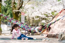 봄, 아이들, 벚꽃, 추억, 친구들 - 팝코넷 | 포토 갤러리 봄, 아이들, 벚꽃, 추억, 친구들