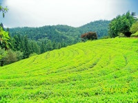 여.름.단.편 #2 - 팝코넷 | 포토 갤러리 여.름.단.편 #2