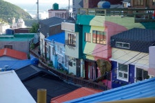 코끼리 하우스? - 팝코넷 | 포토 갤러리 코끼리 하우스?