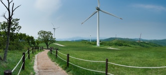 삼양목장의 五月 - 팝코넷 | 포토 갤러리 삼양목장의 五月