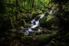 상동이끼계곡 - 팝코넷 | 포토 갤러리 상동이끼계곡