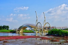 갈매기의 아침 휴식 - 팝코넷 | 포토 갤러리 갈매기의 아침 휴식