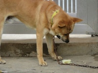 간식은 라면~ - 팝코넷 | 포토 갤러리 간식은 라면~