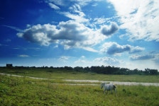 가을이 오면 - 팝코넷 | 포토 갤러리 가을이 오면