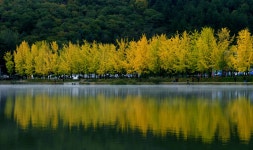 문광저수지의 가을 - 팝코넷 | 포토 갤러리 문광저수지의 가을