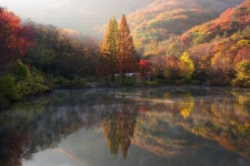 호수에 갚힌 가을 풍경들 - 팝코넷 | 포토 갤러리 호수에 갚힌 가을 풍경들