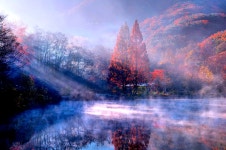 송곡지에서 - 팝코넷 | 포토 갤러리 송곡지에서