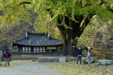 운곡서원 - 팝코넷 | 포토 갤러리 운곡서원