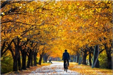 만추의 소경 - 팝코넷 | 포토 갤러리 만추의 소경