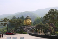 용인 와우정사 - 팝코넷 | 포토 갤러리 용인 와우정사