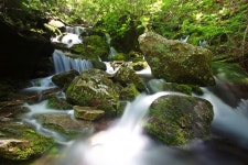 가리왕산 - 팝코넷 | 포토 갤러리 가리왕산