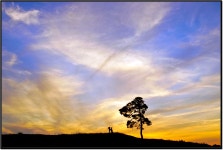 정북토성 - 팝코넷 | 포토 갤러리 정북토성