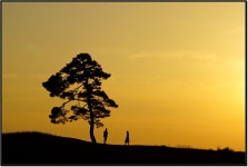 노을빛 연인 - 팝코넷 | 포토 갤러리 노을빛 연인