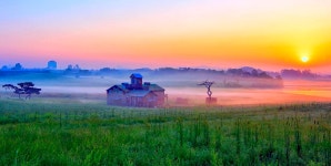 팜랜드의 아침 - 팝코넷 | 포토 갤러리 팜랜드의 아침