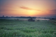 지난 5월의 안성목장 일출~ - 팝코넷 | 포토 갤러리 지난 5월의 안성목장 일출~