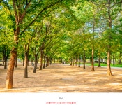 친구 - 팝코넷 | 포토 갤러리 친구