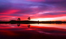 토성의 노을매직 - 팝코넷 | 포토 갤러리 토성의 노을매직