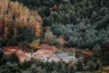 원대리의 가을 - 팝코넷 | 포토 갤러리 원대리의 가을