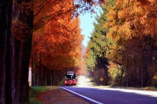 모래재 - 팝코넷 | 포토 갤러리 모래재