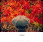 비 오는 날의 수채화 - 팝코넷 | 포토 갤러리 비 오는 날의 수채화