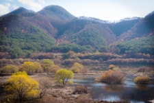 영천 댐 - 팝코넷 | 포토 갤러리 영천 댐